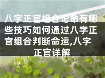 八字正官组合论命有哪些技巧如何通过八字正官组合判断命运,八字正官详解