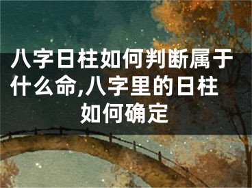 八字日柱如何判断属于什么命,八字里的日柱如何确定