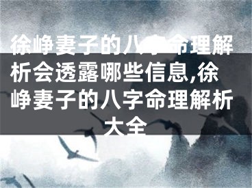 徐峥妻子的八字命理解析会透露哪些信息,徐峥妻子的八字命理解析大全