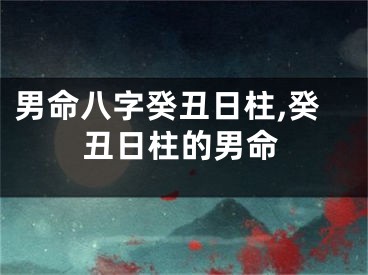 男命八字癸丑日柱,癸丑日柱的男命