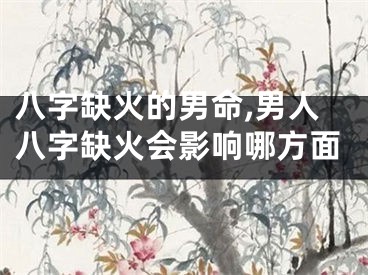 八字缺火的男命,男人八字缺火会影响哪方面