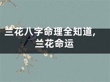 兰花八字命理全知道,兰花命运