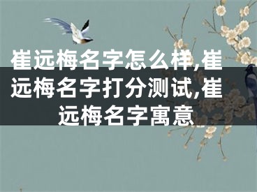 崔远梅名字怎么样,崔远梅名字打分测试,崔远梅名字寓意