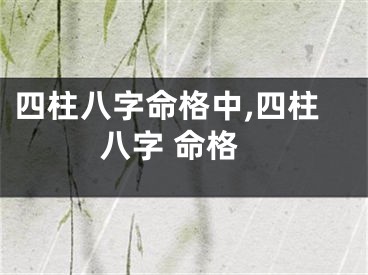 四柱八字命格中,四柱八字 命格