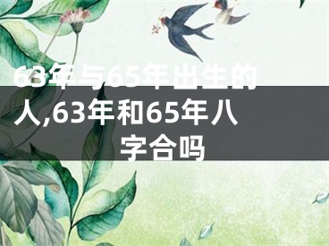 63年与65年出生的人,63年和65年八字合吗