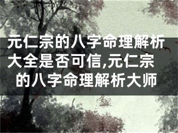元仁宗的八字命理解析大全是否可信,元仁宗的八字命理解析大师