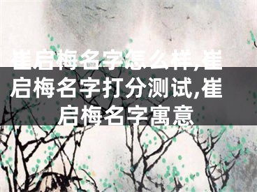 崔启梅名字怎么样,崔启梅名字打分测试,崔启梅名字寓意