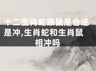 十二生肖蛇跟鼠是合还是冲,生肖蛇和生肖鼠相冲吗