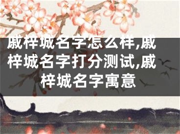 戚梓城名字怎么样,戚梓城名字打分测试,戚梓城名字寓意