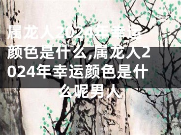 属龙人2024年幸运颜色是什么,属龙人2024年幸运颜色是什么呢男人