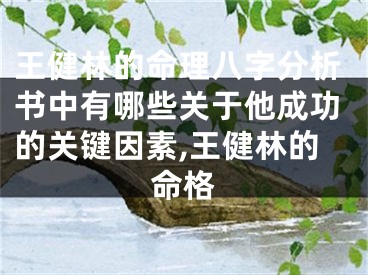 王健林的命理八字分析书中有哪些关于他成功的关键因素,王健林的命格