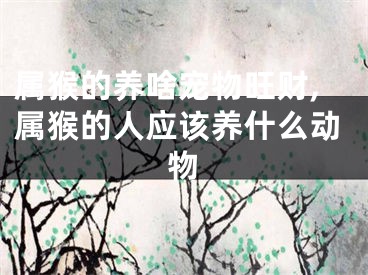 属猴的养啥宠物旺财,属猴的人应该养什么动物