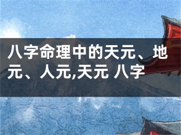 八字命理中的天元、地元、人元,天元 八字