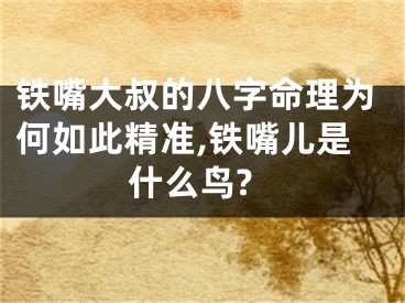 铁嘴大叔的八字命理为何如此精准,铁嘴儿是什么鸟?