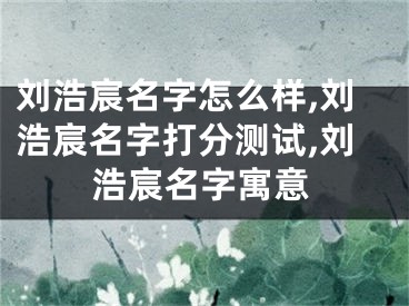 刘浩宸名字怎么样,刘浩宸名字打分测试,刘浩宸名字寓意