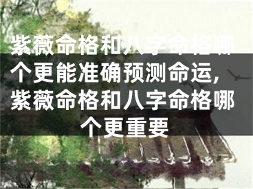 紫薇命格和八字命格哪个更能准确预测命运,紫薇命格和八字命格哪个更重要