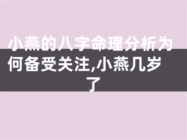 小燕的八字命理分析为何备受关注,小燕几岁了