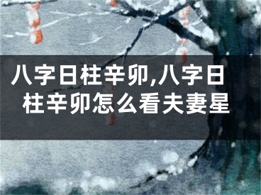 八字日柱辛卯,八字日柱辛卯怎么看夫妻星