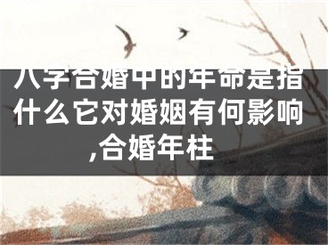八字合婚中的年命是指什么它对婚姻有何影响,合婚年柱