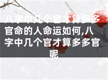 八字中几个官才算多多官命的人命运如何,八字中几个官才算多多官呢