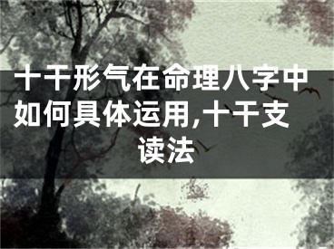 十干形气在命理八字中如何具体运用,十干支读法