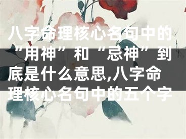 八字命理核心名句中的“用神”和“忌神”到底是什么意思,八字命理核心名句中的五个字