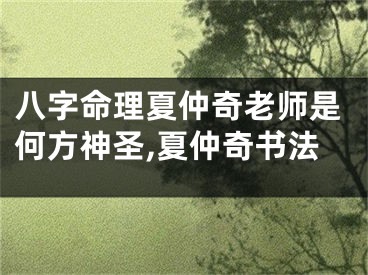 八字命理夏仲奇老师是何方神圣,夏仲奇书法