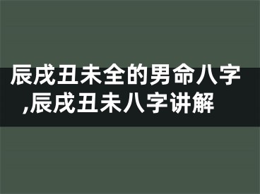 辰戌丑未全的男命八字,辰戌丑未八字讲解