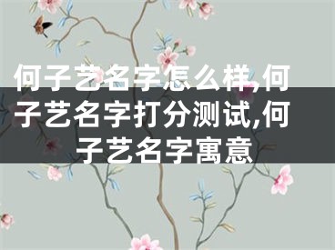 何子艺名字怎么样,何子艺名字打分测试,何子艺名字寓意