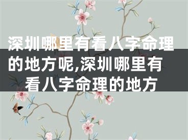 深圳哪里有看八字命理的地方呢,深圳哪里有看八字命理的地方