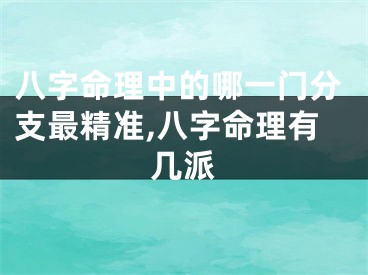 八字命理中的哪一门分支最精准,八字命理有几派