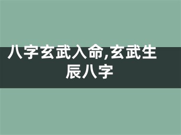 八字玄武入命,玄武生辰八字