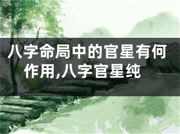 八字命局中的官星有何作用,八字官星纯