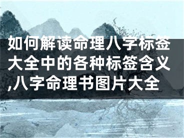 如何解读命理八字标签大全中的各种标签含义,八字命理书图片大全