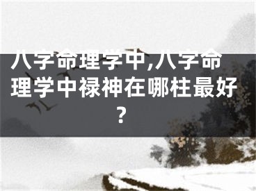 八字命理学中,八字命理学中禄神在哪柱最好?