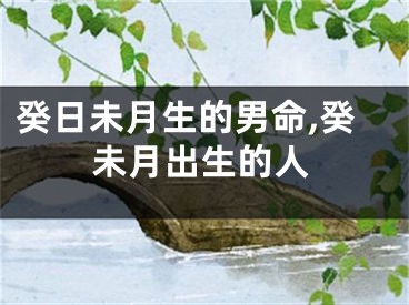 癸日未月生的男命,癸未月出生的人