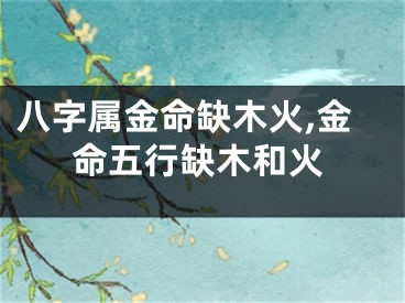 八字属金命缺木火,金命五行缺木和火