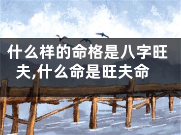 什么样的命格是八字旺夫,什么命是旺夫命