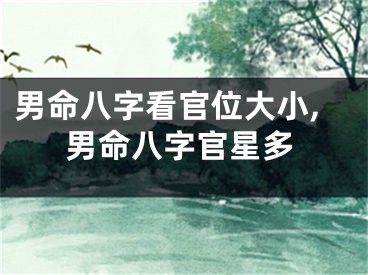 男命八字看官位大小,男命八字官星多