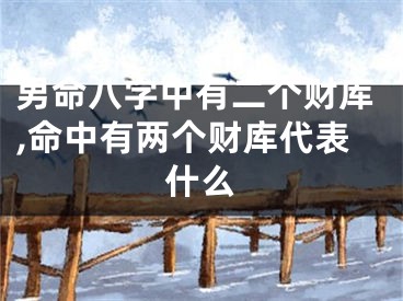 男命八字中有二个财库,命中有两个财库代表什么
