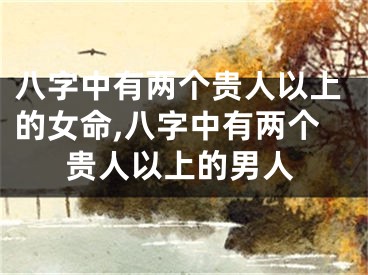 八字中有两个贵人以上的女命,八字中有两个贵人以上的男人