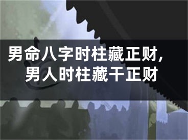 男命八字时柱藏正财,男人时柱藏干正财