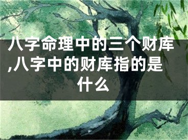 八字命理中的三个财库,八字中的财库指的是什么