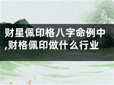 财星佩印格八字命例中,财格佩印做什么行业
