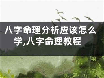 八字命理分析应该怎么学,八字命理教程