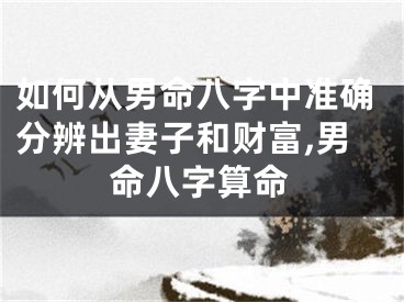 如何从男命八字中准确分辨出妻子和财富,男命八字算命