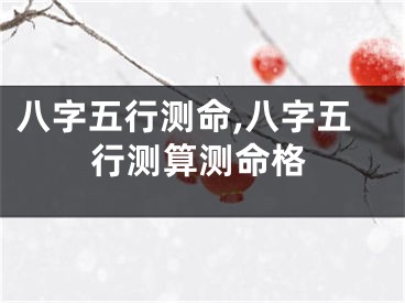 八字五行测命,八字五行测算测命格