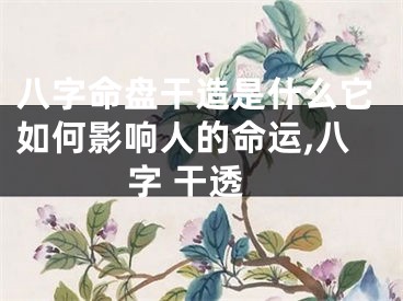 八字命盘干造是什么它如何影响人的命运,八字 干透