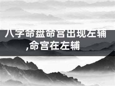八字命盘命宫出现左辅,命宫在左辅