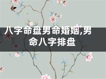 八字命盘男命婚姻,男命八字排盘